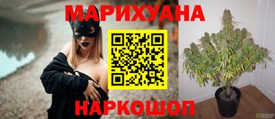 шишки Партизанск