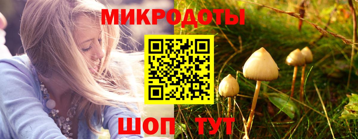 Псилоцибиновые грибы мухоморы Сургут