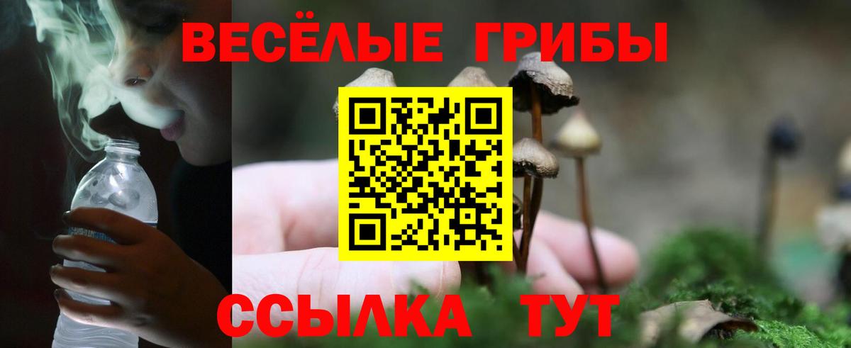 Галлюциногенные грибы Magic Shrooms  Вход с VPN  Псилоцибиновые грибы Psilocybine cubensis  Сургут 